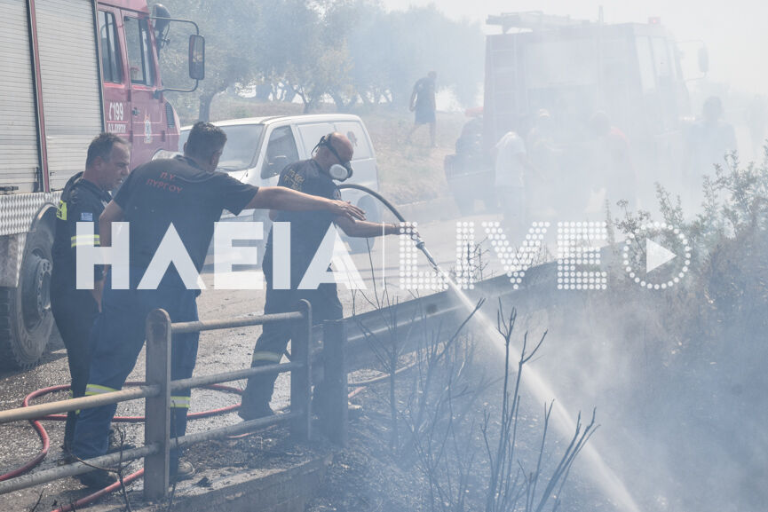 fotia kaukania 4