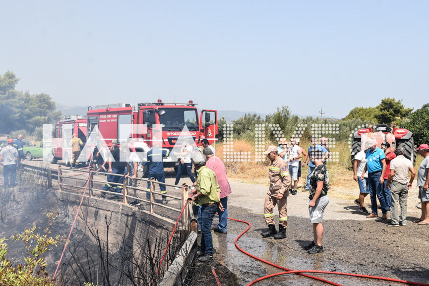 fotia kaukania 9