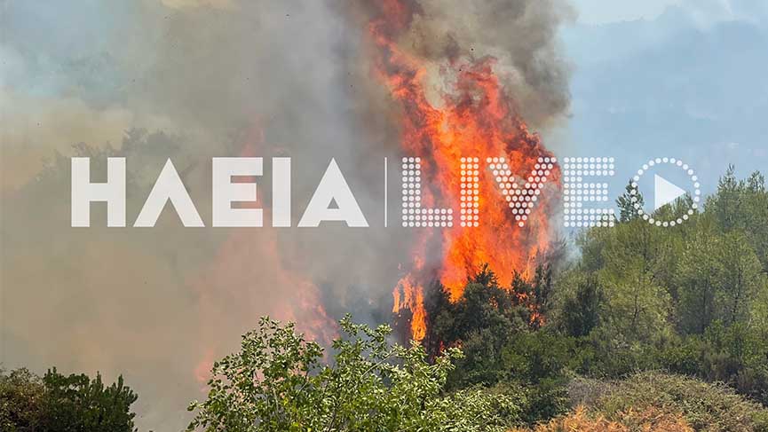 nemouta day3 4