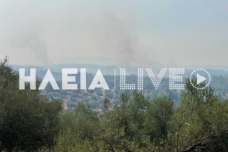 oria ilias1