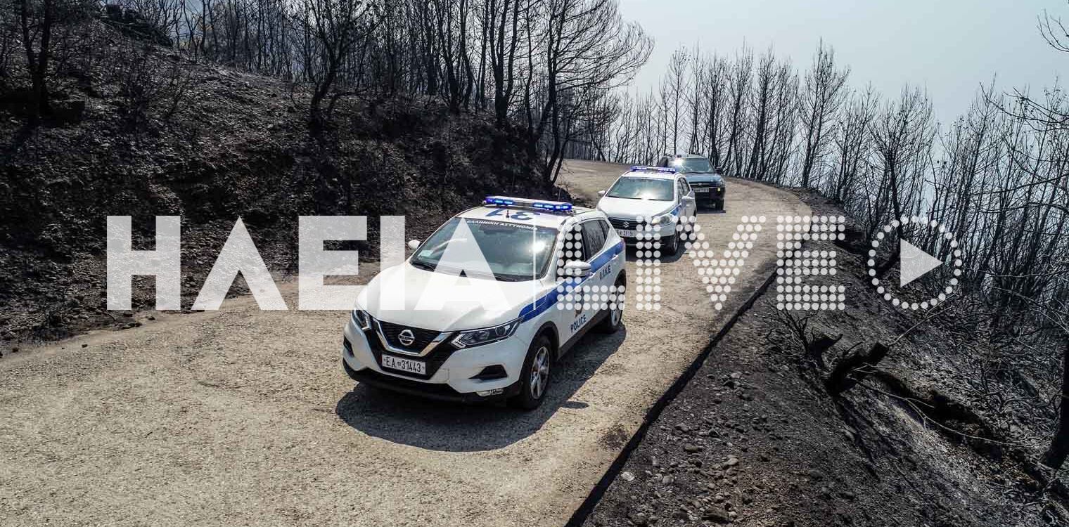 Ηλεία: Περιπολίες παντού για επίδοξους εμπρηστές και πλιατσικολόγους