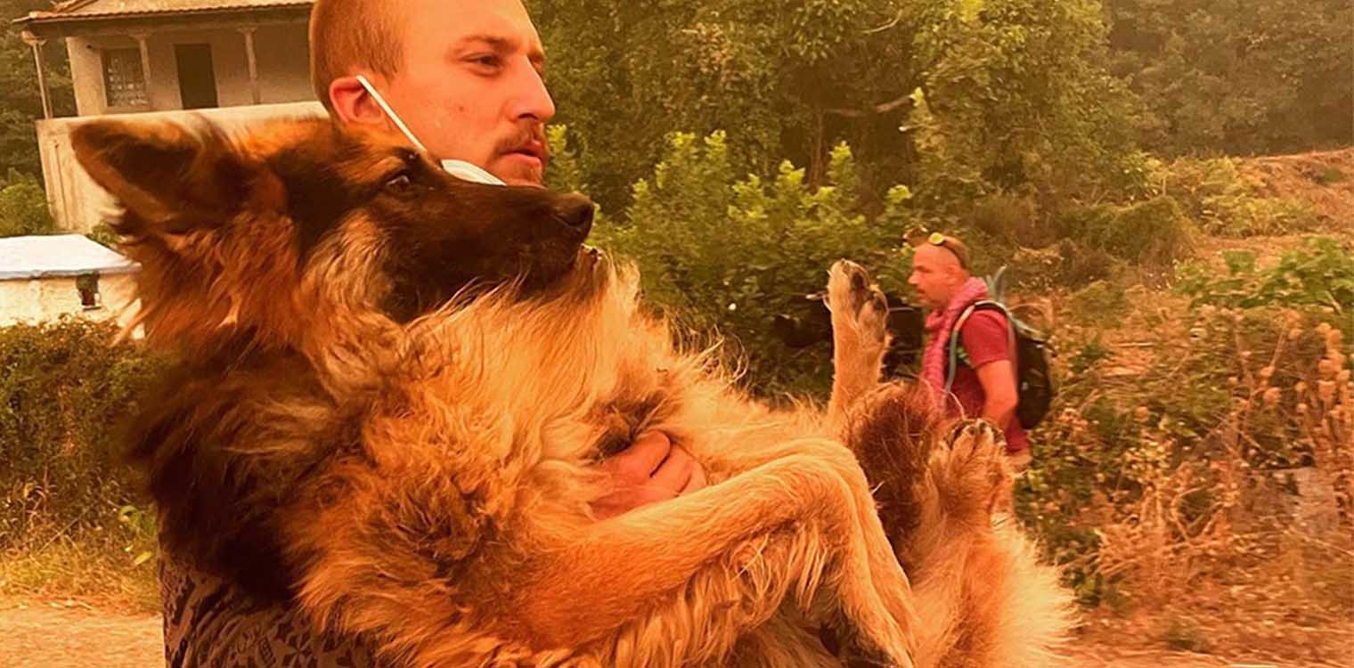 Φωτιά στην Εύβοια: Viral η φωτογραφία εθελοντή να διασώζει λυκόσκυλο που ο ιδιοκτήτης του είχε αφήσει δεμένο να καεί
