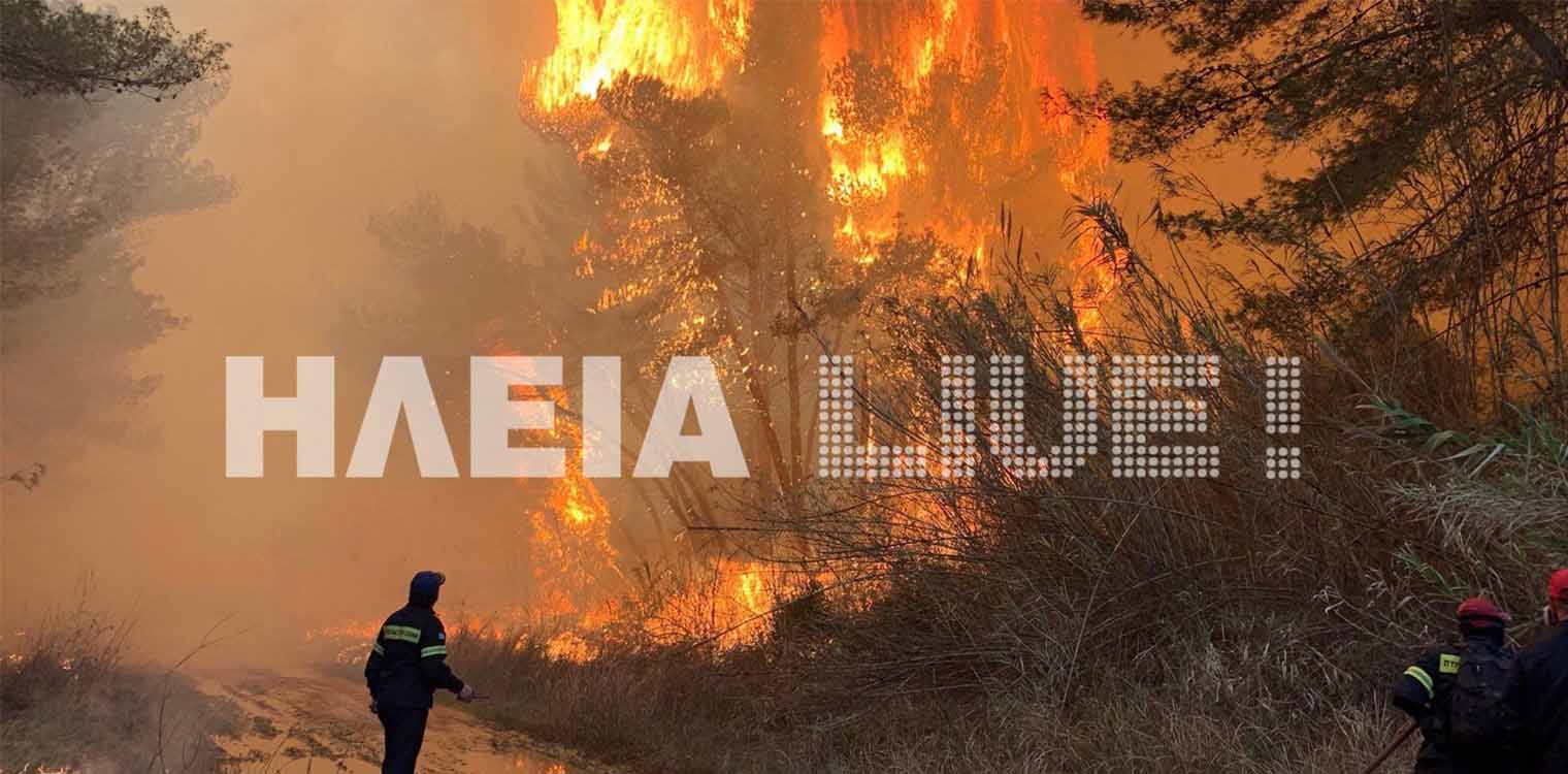 Επανασχεδιασμός της πολιτικής πρόληψης και αντιμετώπισης των δασικών πυρκαγιών – Η επόμενη μέρα…