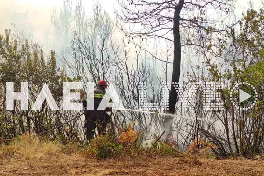 fotia lala douka lasdika 2