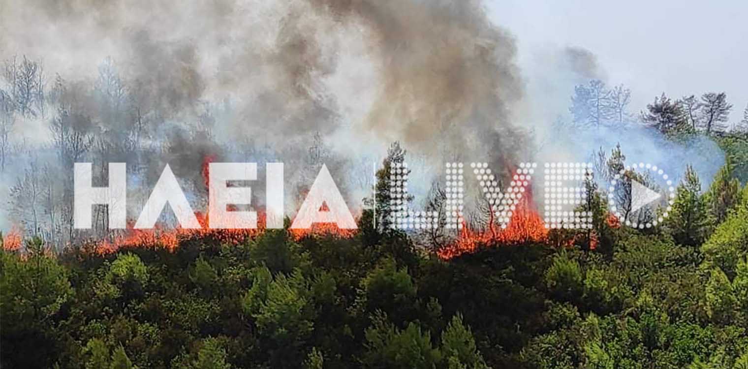 Μάχη στο μέτωπο Λάλα – Δούκα – Λάσδικα