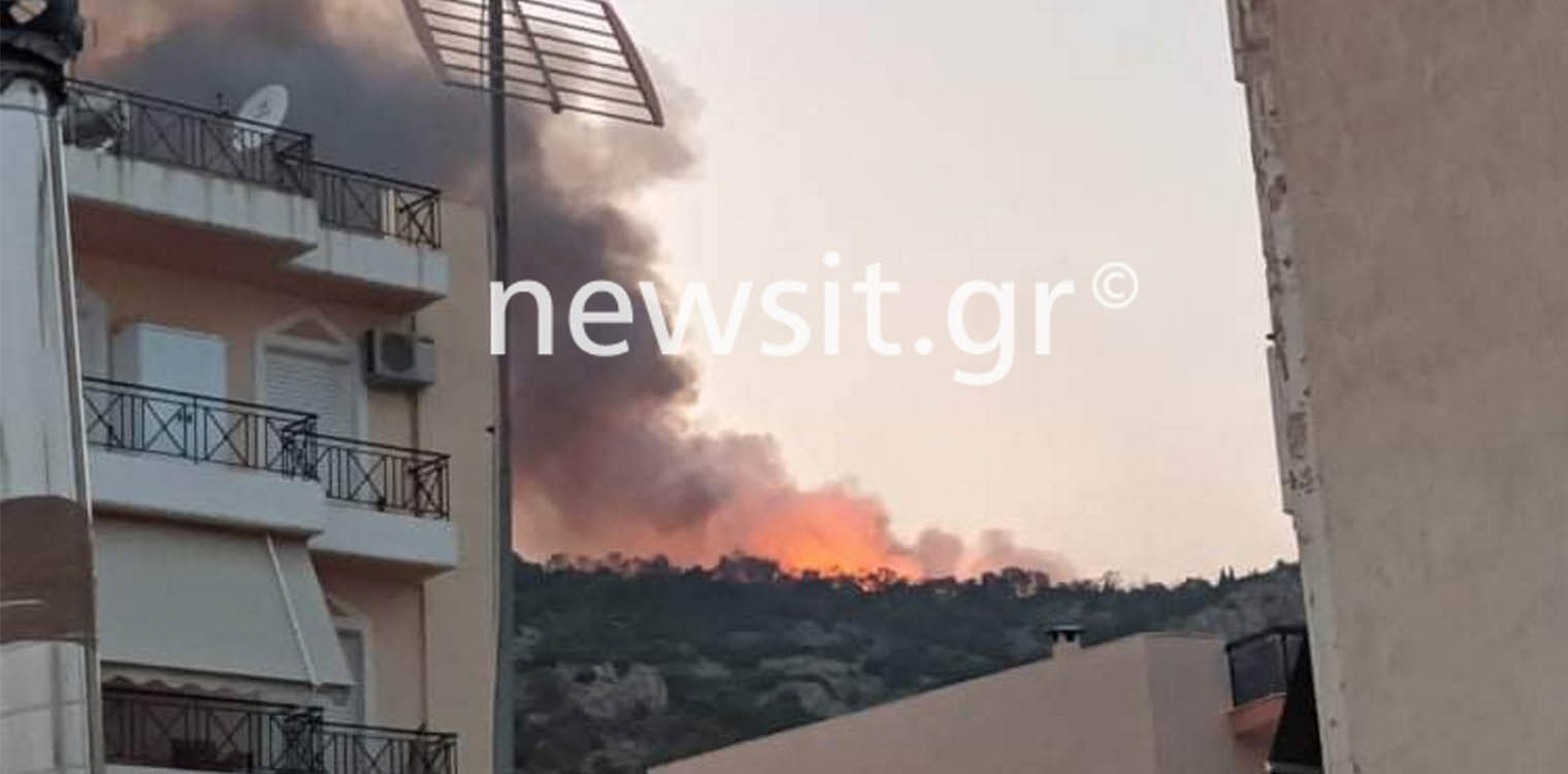 Πετρούπολη: Δίωξη για κακουργήματα στον 47χρονο που συνελήφθη για εμπρησμούς