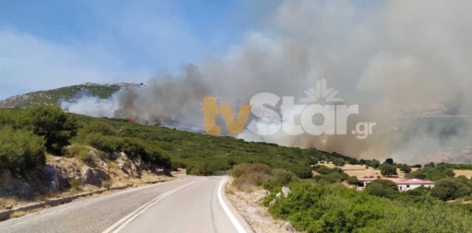 Φωτιά στην περιοχή Πετριές στη Νότια Εύβοια - Κινητοποιήθηκαν 4 εναέρια μέσα (upd)