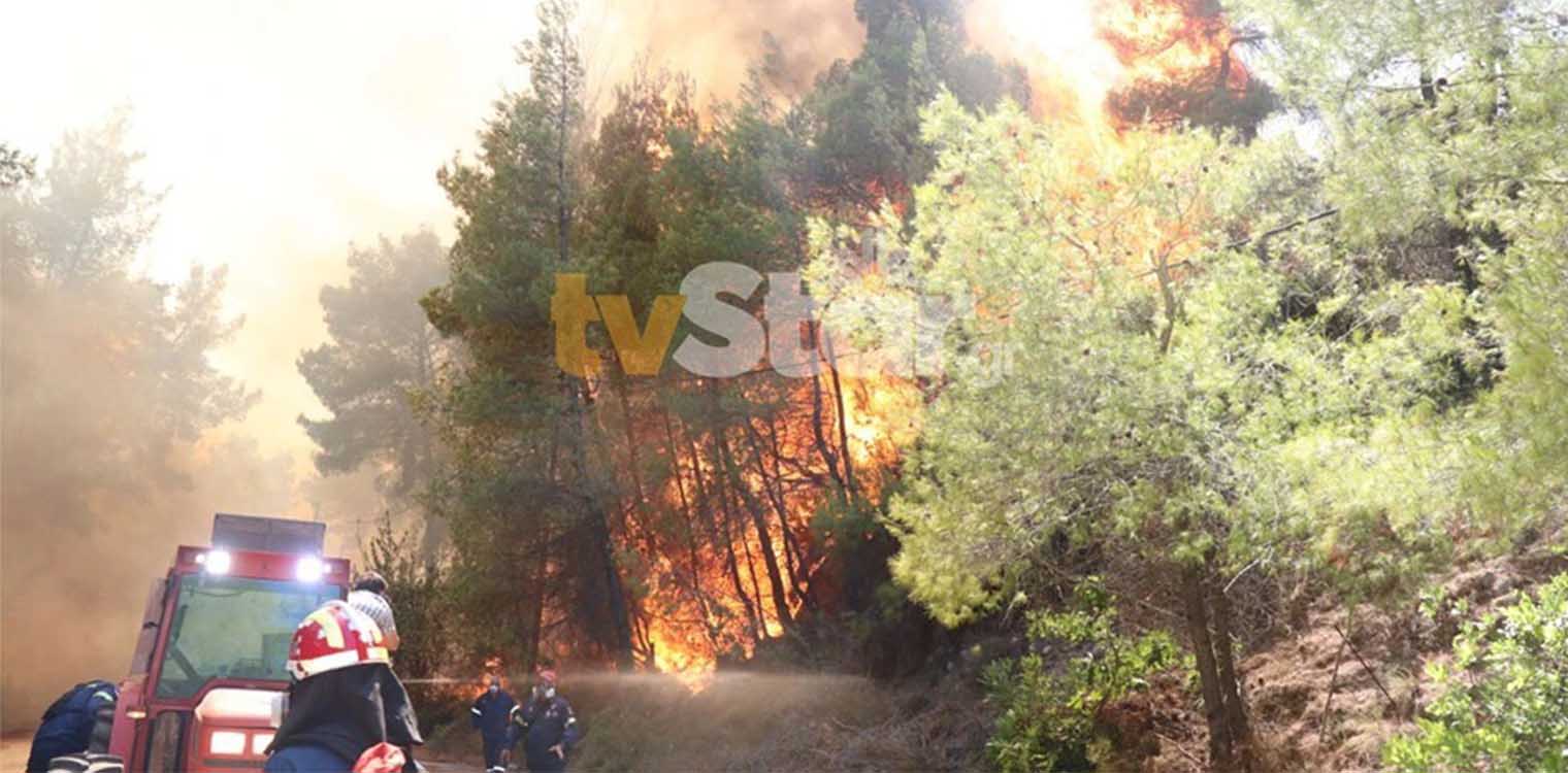 Προσήχθη 13χρονος για τις φωτιές στον Θεολόγο