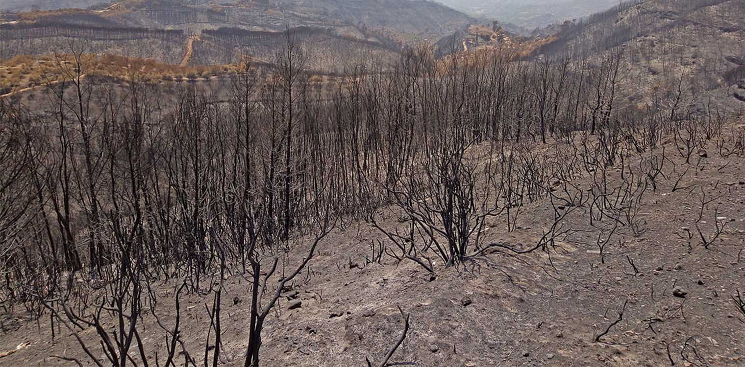 Δήμος Αρχ. Ολυμπίας: Πρωτοβουλίες για αντιπλημμυρικά έργα στις πληγείσες περιοχές