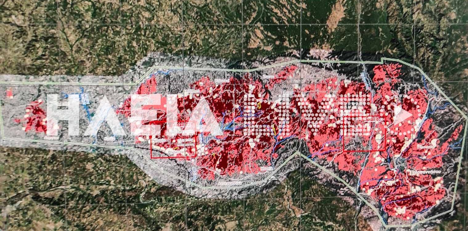 Δασαρχείο Πύργου: Εν αναμονή για την κήρυξη των καμένων περιοχών σε αναδασωτέες
