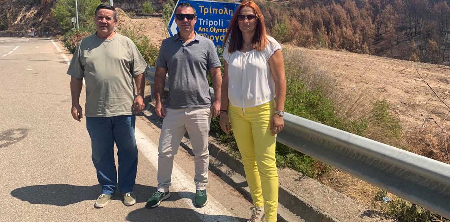 Οικολόγοι Πράσινοι: Ας δοθεί επιτέλους έμφαση στην πρόληψη των πυρκαγιών!