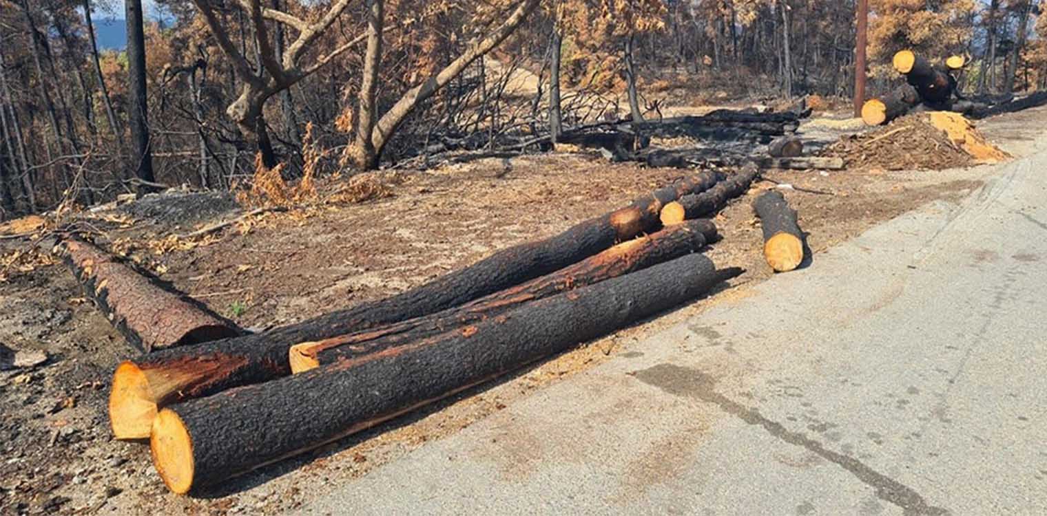 Φωτιές σε Εύβοια και Βαρυμπόμπη: Ξεκίνησαν τα αντιπλημμυρικά έργα (photos)