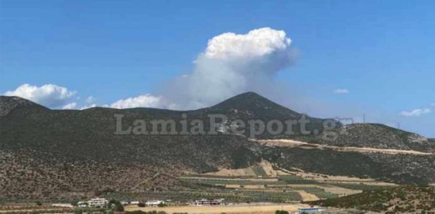 Φωτιά στη Φθιώτιδα - Τα πύρινα μέτωπα πολιορκούν το Λογγίτσι - Εκκενώθηκε το χωριό (upd)