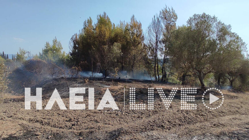 fotia irakleia 3