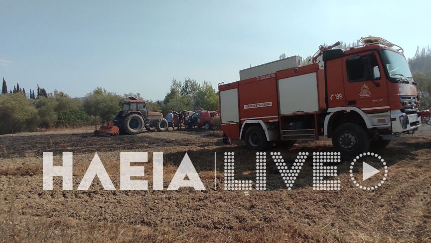 fotia irakleia 6