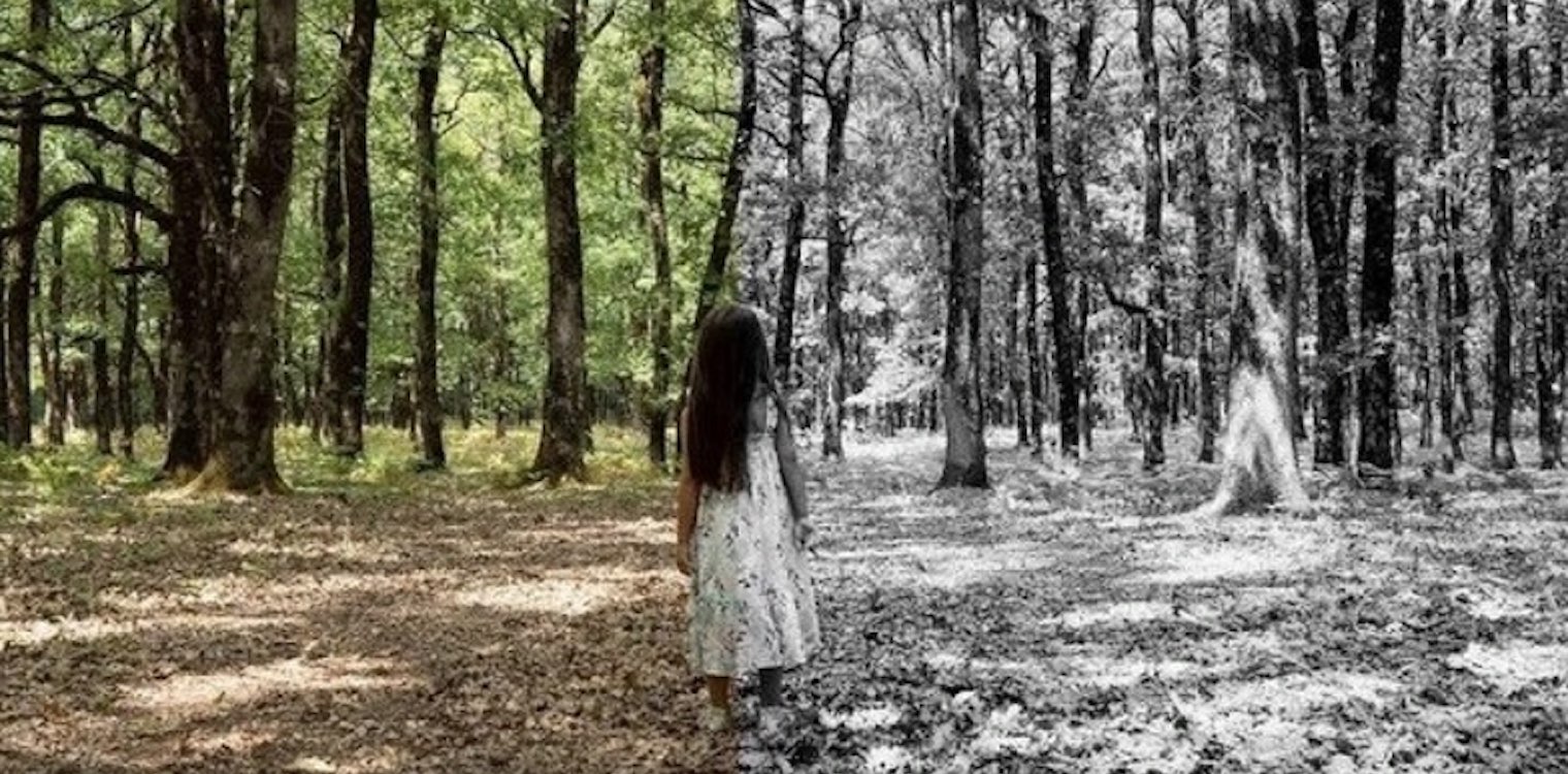 Φωτιά στην Αρχαία Ολυμπία: Η καταστροφή μέσα από τα μάτια ενός παιδιού