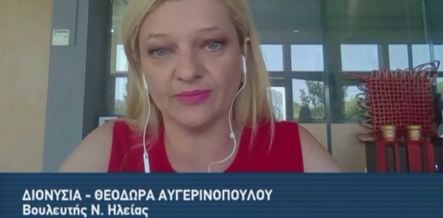 Παρέμβαση Αυγερινοπούλου στην κοινή συνεδρίαση για τα έκτακτα μέτρα στήριξης των πυροπλήκτων
