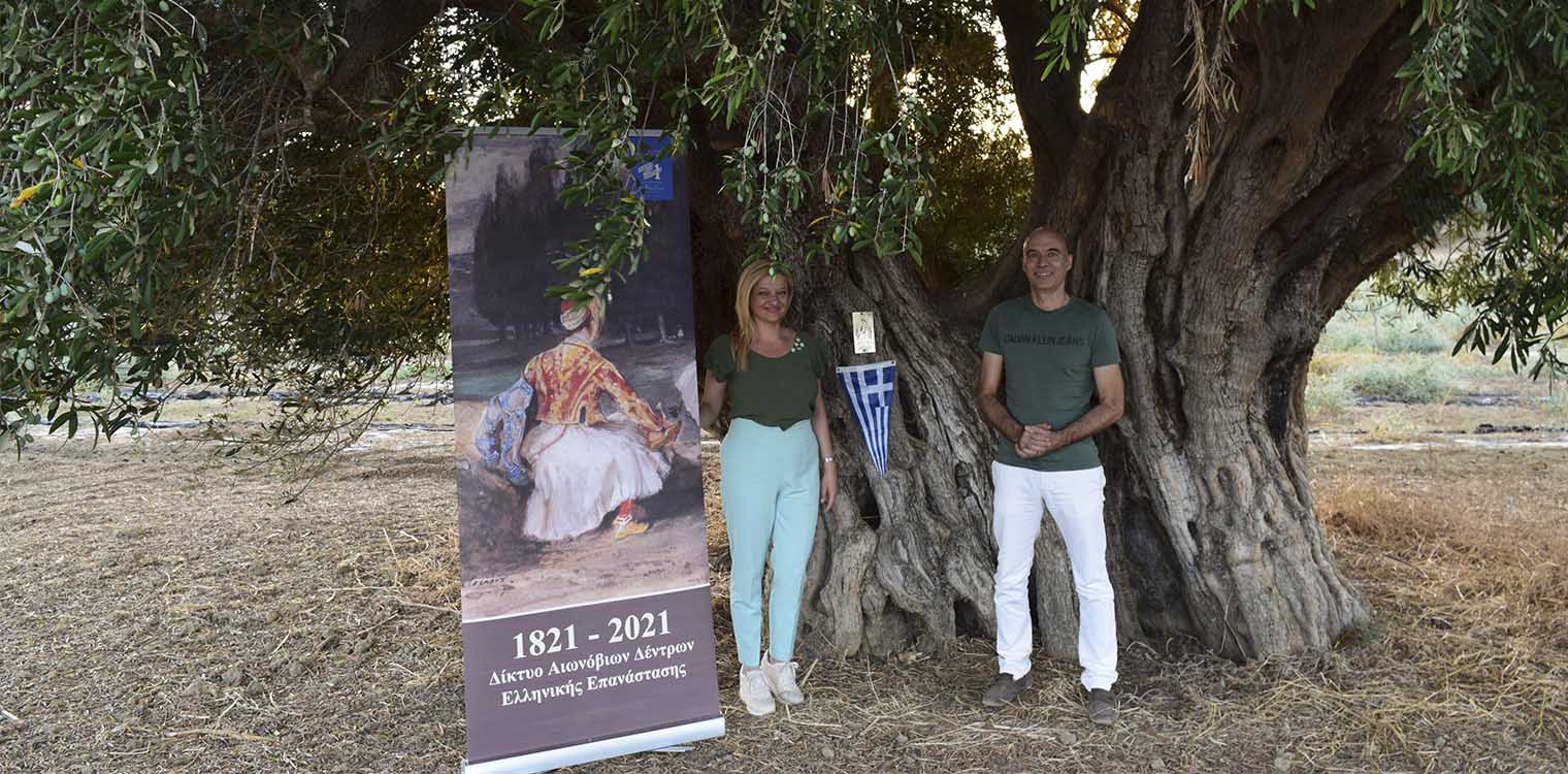 Ομιλία Αυγερινοπούλου, στην πρώτη επετειακή εκδήλωση σήμανσης της υπεραιωνόβιας ελιάς στην Ηλεία