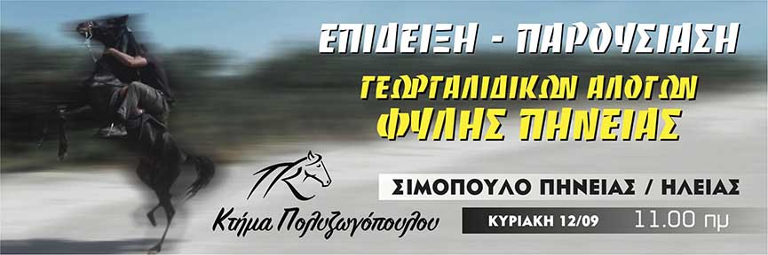 kp horse 12.09