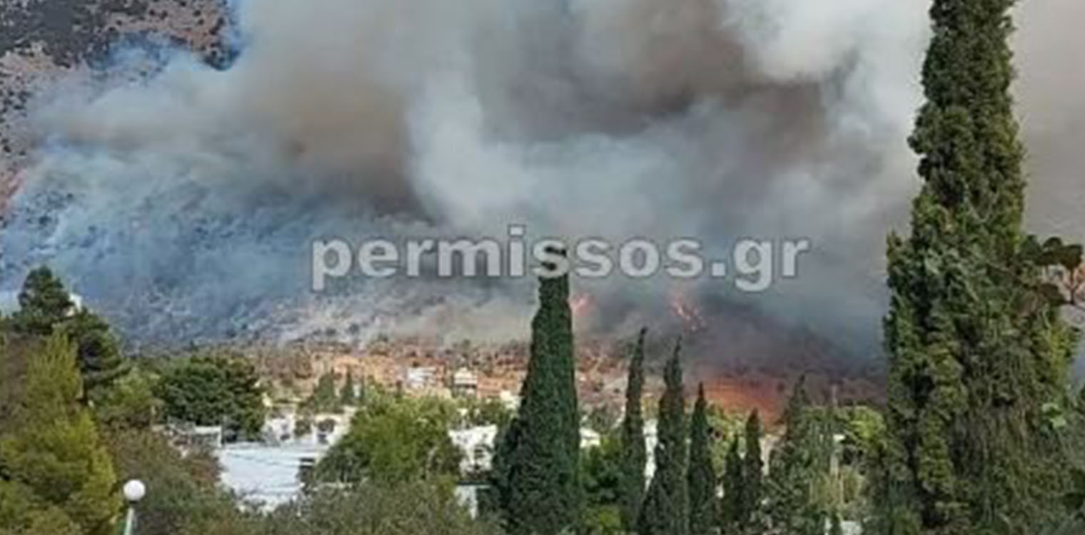 Φωτιά τώρα στην παραλία Διστόμου - Κοντά στα Άσπρα Σπίτια
