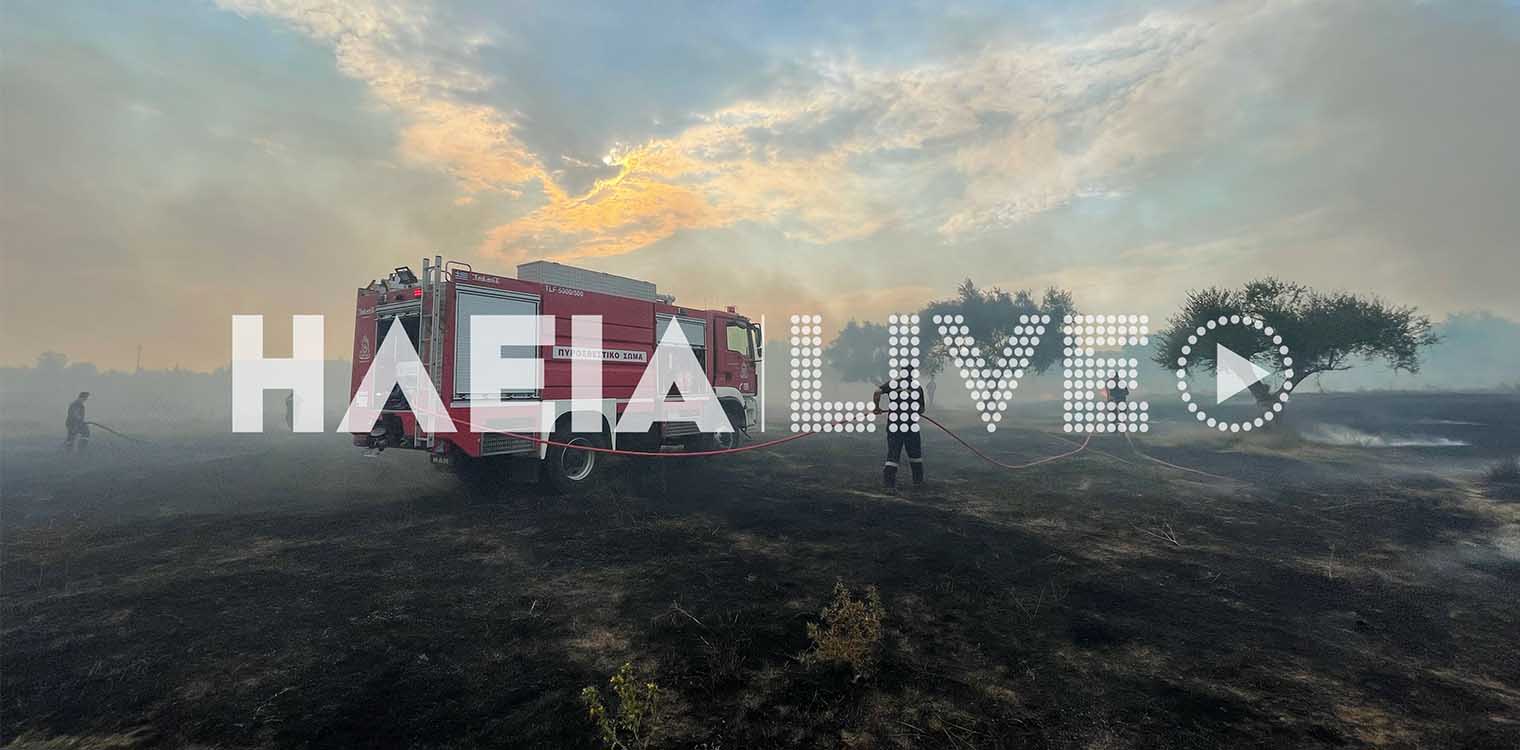 Πύργος: Φωτιά σε χορτολιβαδική έκταση στον Αγ. Γεώργιο (photos)