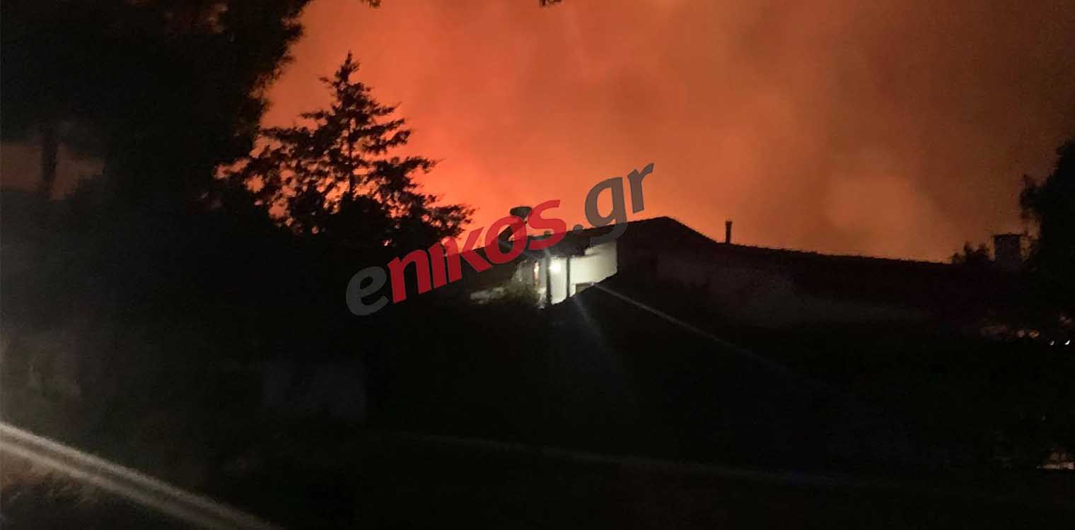 Πατούλης για φωτιά στη Νέα Μάκρη: Υπάρχουν ενδείξεις για εμπρησμό