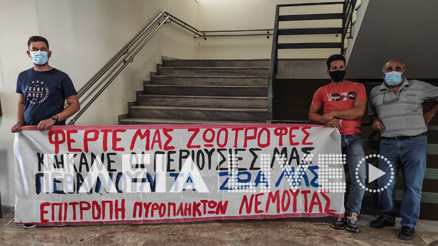 suntonistiko puropl 4
