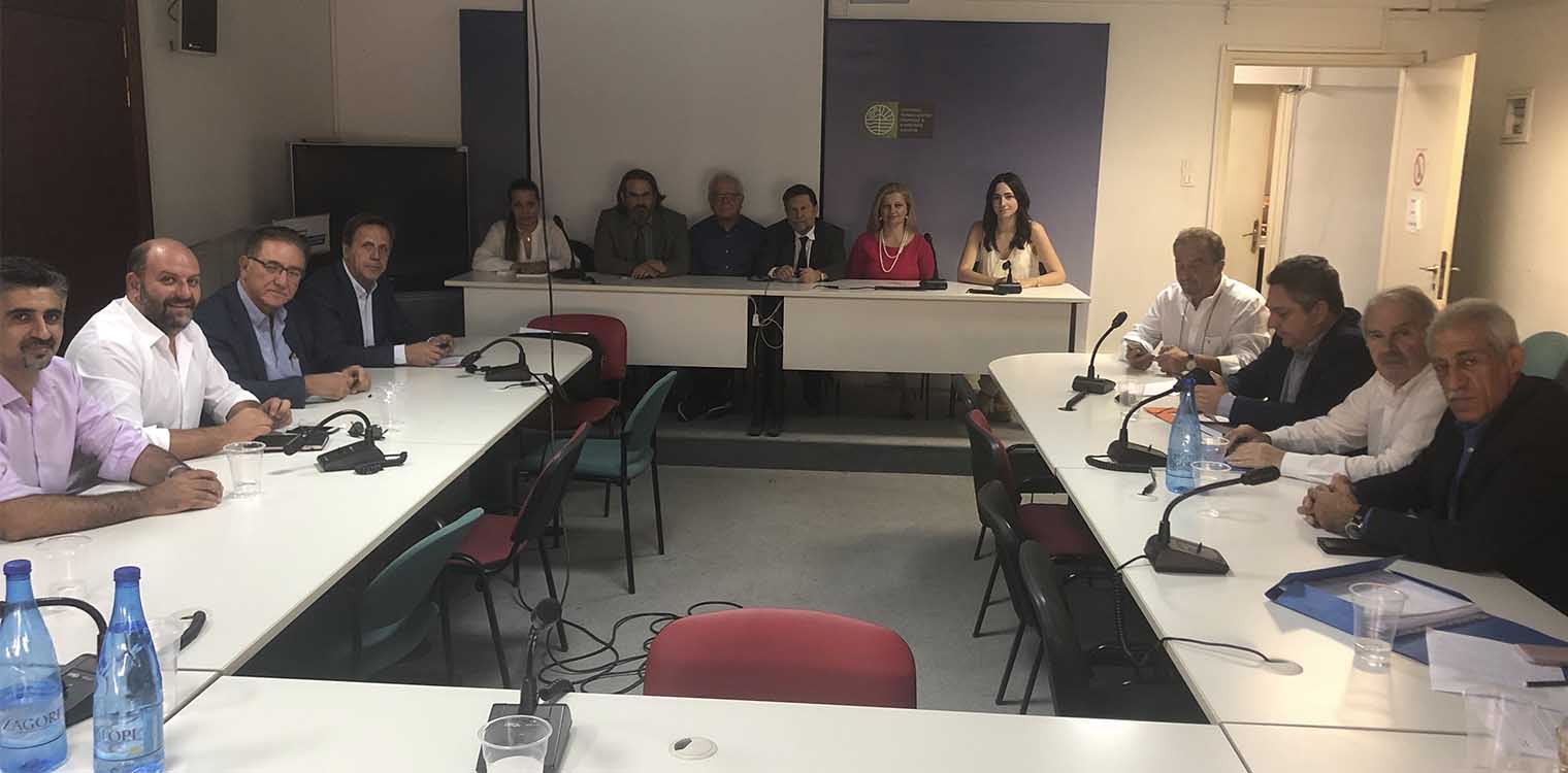 Αυγερινοπούλου: Στον πρώτο διαγωνιστικό κύκλο εντάχθηκε το τοπικό πολεοδομικό σχέδιο του Δήμου Ήλιδας