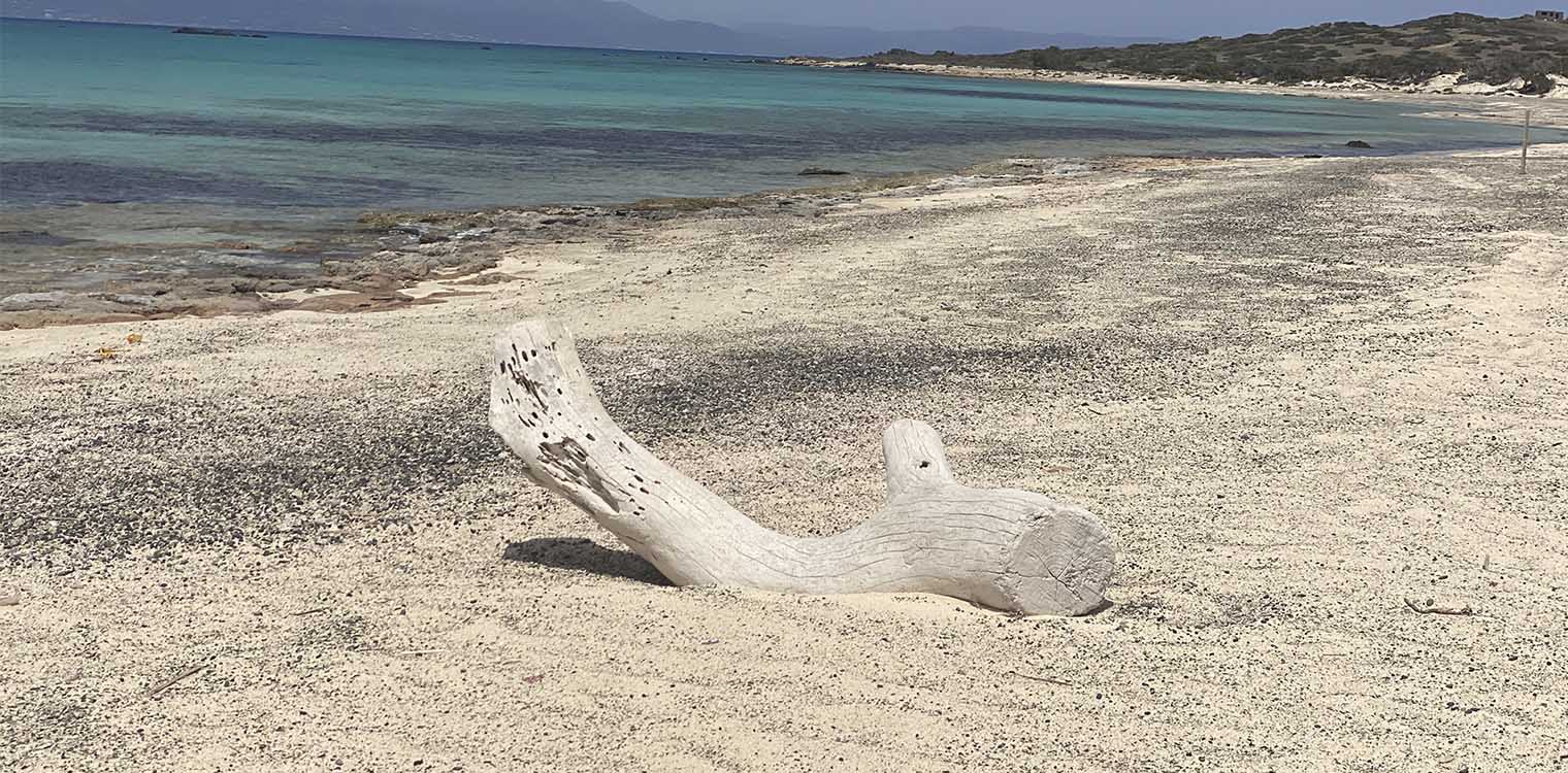 Σε αυστηρό καθεστώς προστασίας η νήσος Χρυσή και το Μικρονήσι