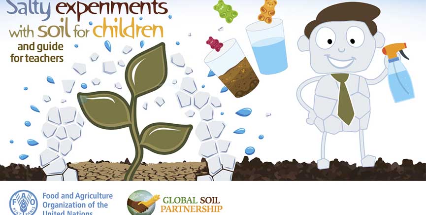 Salt experiments with soil for kids