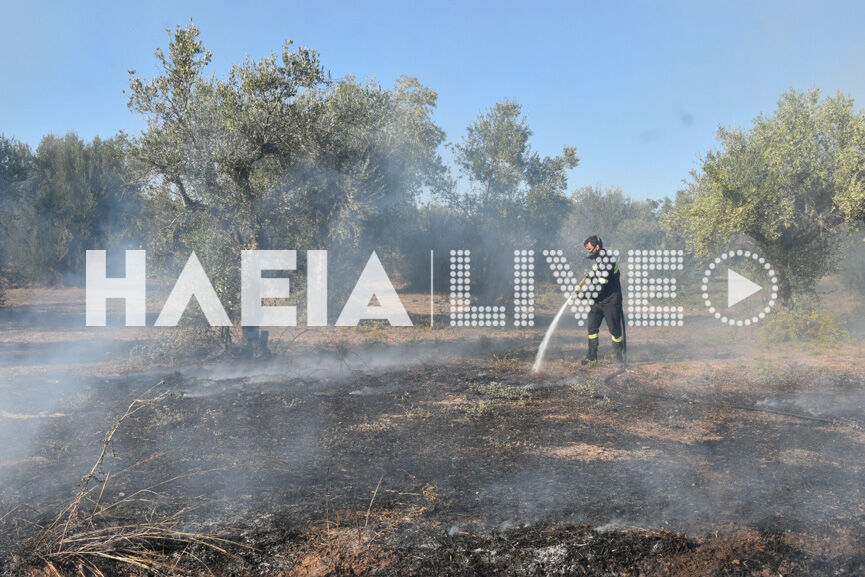 fotia douneika 11