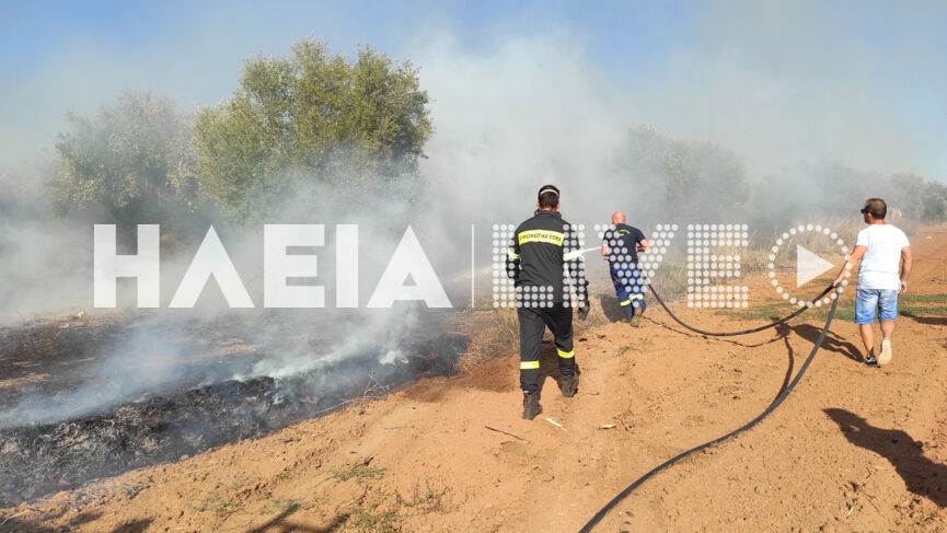 fotia douneika 3
