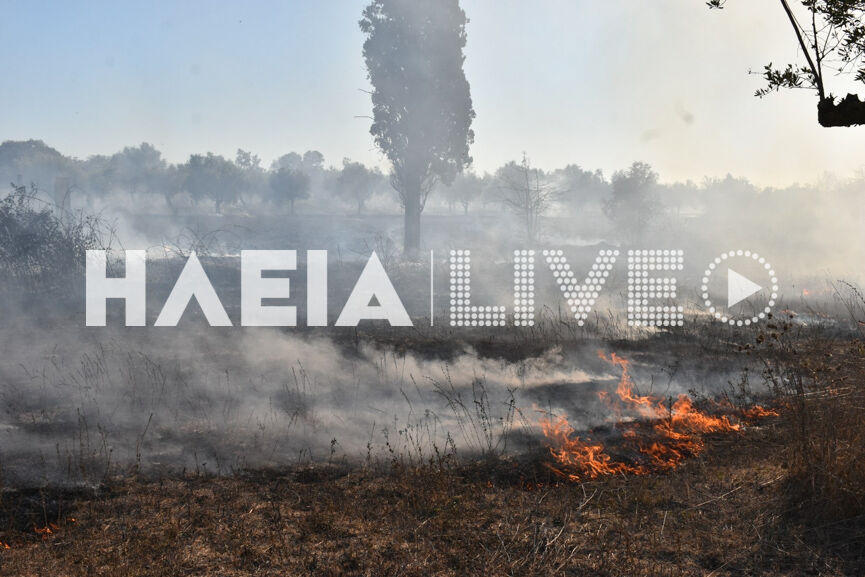 fotia douneika 9