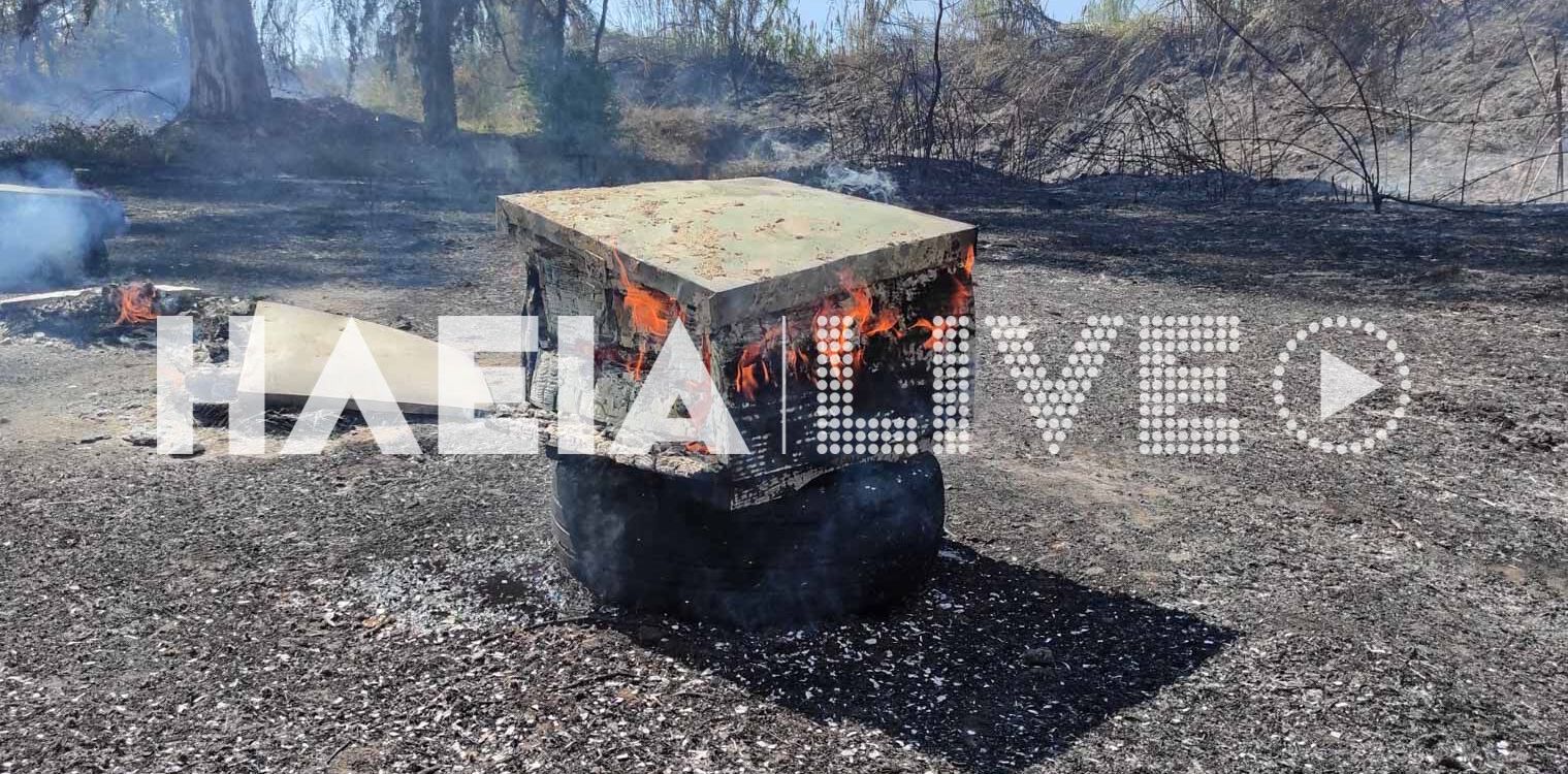 Πύργος: Πυρκαγιά σε εξέλιξη στις εκβολές του Αλφειού κοντά στο Ποτόκι