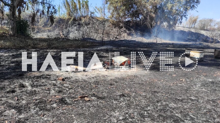 fotia alfeios 2