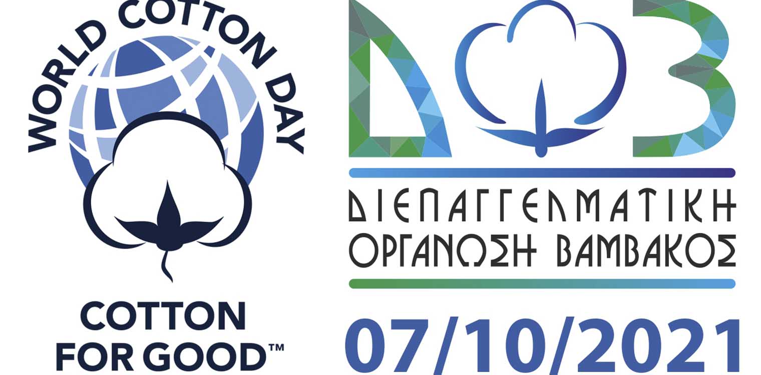 Παγκόσμια Ημέρα Βάμβακος: Η σπουδαιότητα και η αξία του προϊόντος