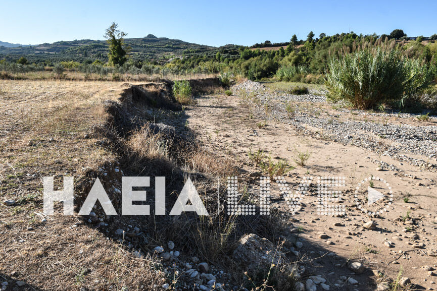 pineiakos 7