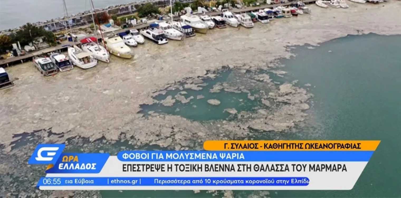 Επέστρεψε η βλέννα στη θάλασσα του Μαρμαρά - Οι αιτίες και ο κίνδυνος για το Αιγαίο
