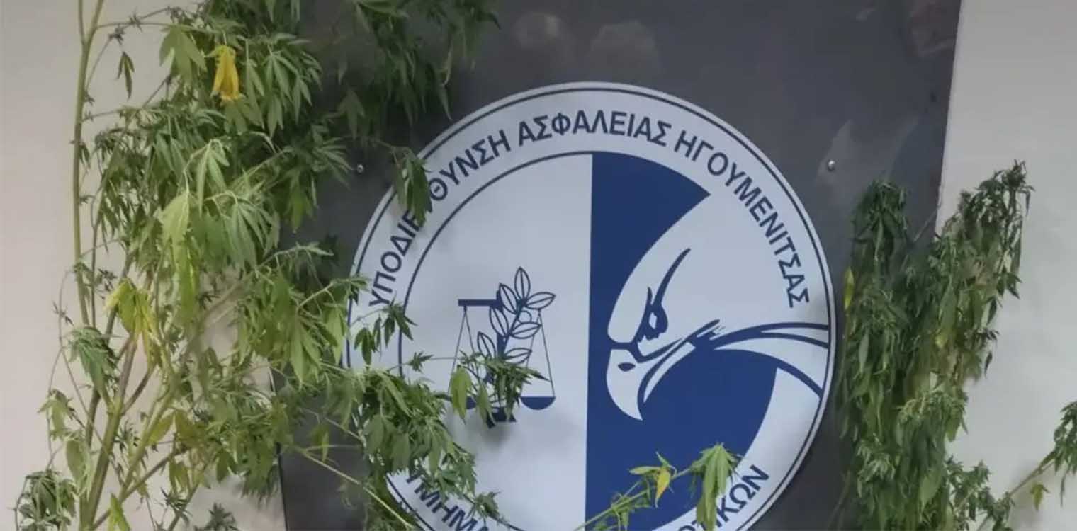 Η «Lussy» βρήκε τα ναρκωτικά και η Δίωξη τα χρήματα