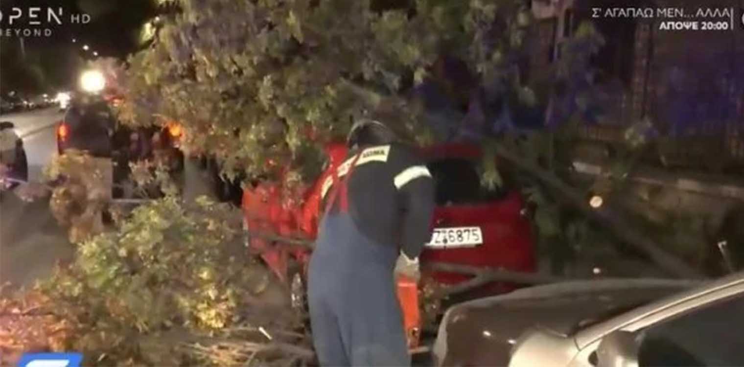 Κακοκαιρία Αθηνά: Προβλήματα στη Θεσσαλονίκη από τους ανέμους – Πτώσεις δέντρων, καταστράφηκαν αυτοκίνητα