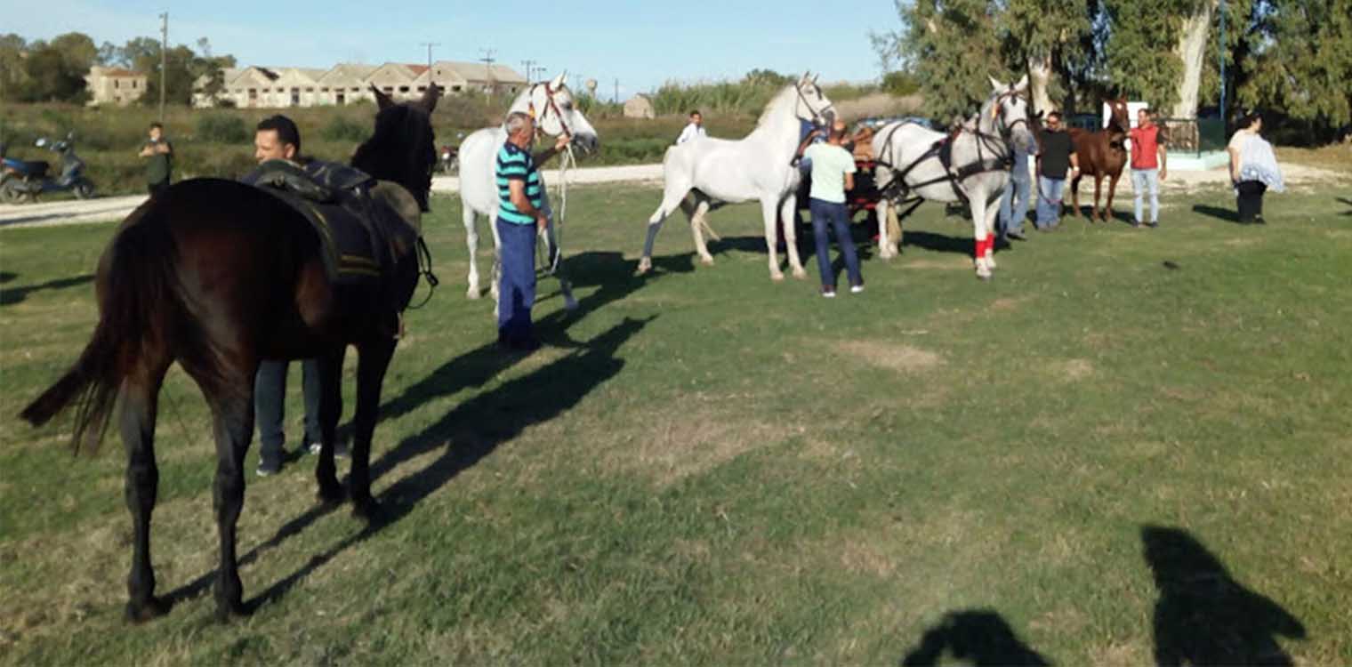 Δήμος Πηνειού: Ίδρυση Ιππικού ομίλου - Πρόταση για ιππικό κέντρο