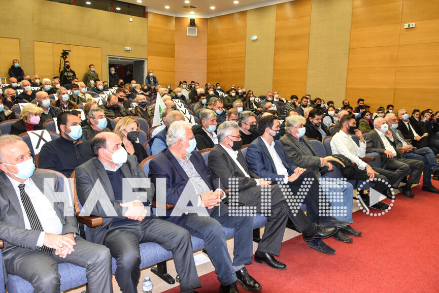 papandreou amaliada 4