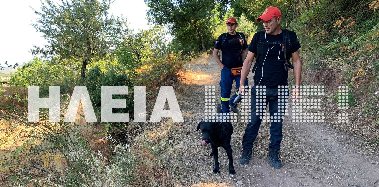 Αιγιάλεια: Νεκρός 81χρονος που αγνοούνταν από τις 30 Νοεμβρίου - Τον βρήκε ο σκύλος της ΕΜΑΚ