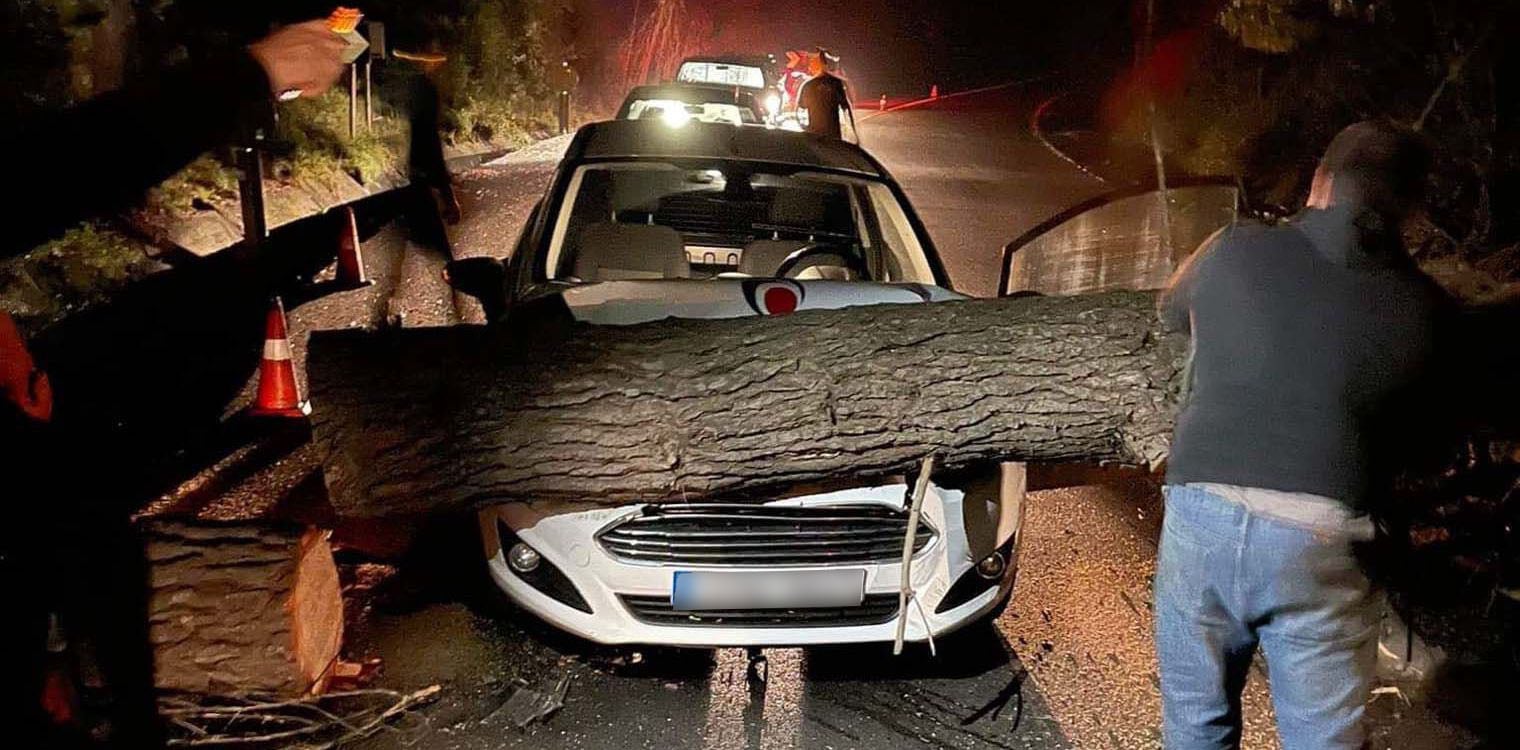 Πύργου - Κυπαρισσίας: Νέο τροχαίο στις στροφές του Πεπέ - ΙΧ τράκαρε με δέντρο στη μέση του δρόμου
