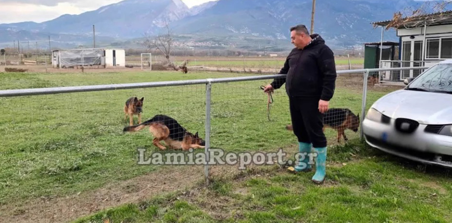 Κακοκαιρία: Λαμιώτης κινδύνεψε να πνιγεί στις πλημμύρες για να σώσει 35 σκυλάκια από πανσιόν