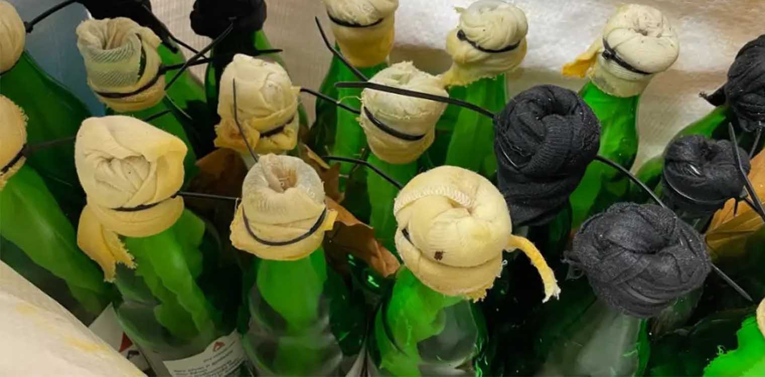 Θεσσαλονίκη: Εντοπίστηκαν 19 βόμβες μολότοφ σε εξωτερικό χώρο του ΑΠΘ (photos)