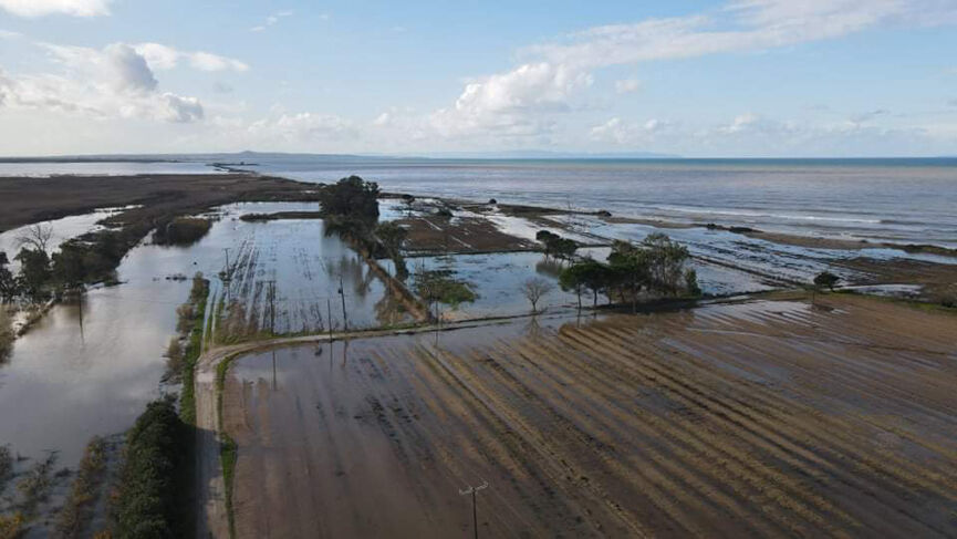 manolada 19