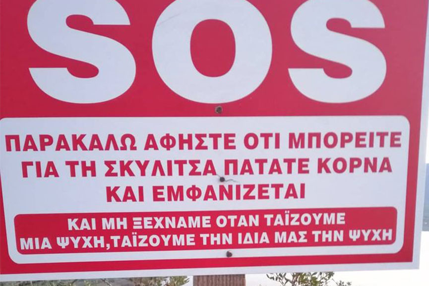 agrinio skulitsa2