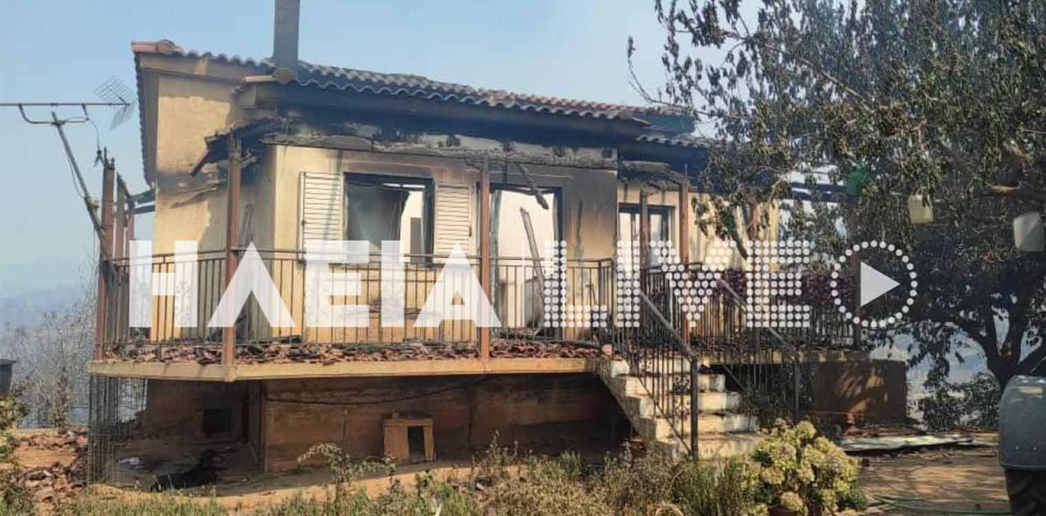 arogi.gov.gr: Άνοιξε ξανά η πλατφόρμα για τροποποιήσεις στις αιτήσεις των πυρόπληκτων