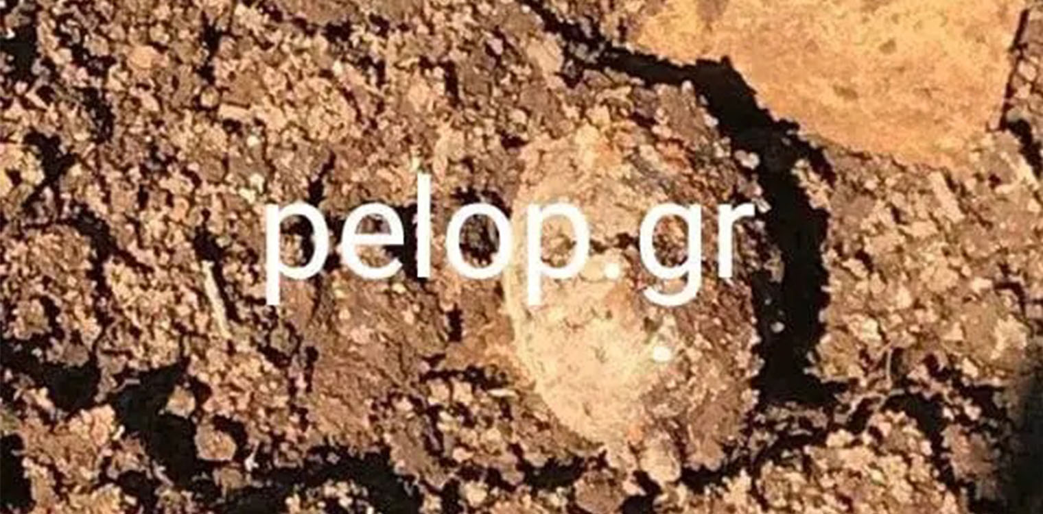 Χειροβομβίδα απέκλεισε επί ώρες συνοικία στο Αίγιο – Την έπιασε εργάτης